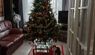 Takarítás időseknél Debrecenben