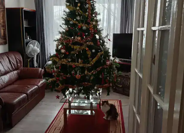 Takarítás időseknél Debrecenben