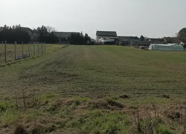 Eladó telek Dömsödön