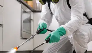 Egèszsègügyi kártevőírtó