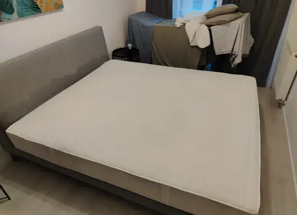 Survival Clean - Kárpittisztítás