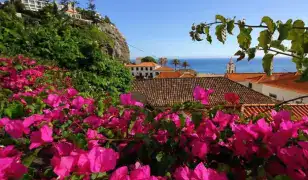 8 napos körutazás Madeirán, repülőjeggyel, illetékkel, reggelivel, 4*-os szállással, idegenvezetéssel