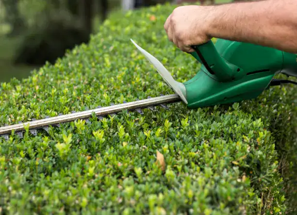 Zöldterület gondozás Ágdarálás