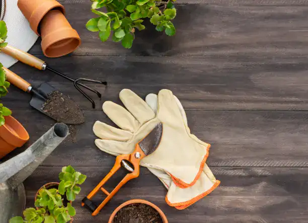 Minden ami kert – megbízható kivitelezéssel!