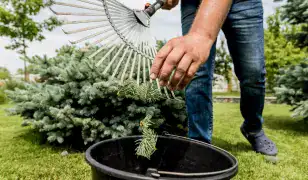 SZÓZA PLUSZ KFT – KERTÉSZETI SZOLGÁLTATÁSOK 🌿