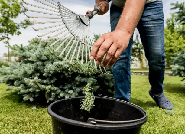 SZÓZA PLUSZ KFT – KERTÉSZETI SZOLGÁLTATÁSOK 🌿