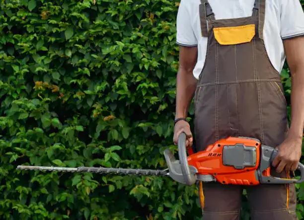 SZÓZA PLUSZ KFT – KERTÉSZETI SZOLGÁLTATÁSOK 🌿