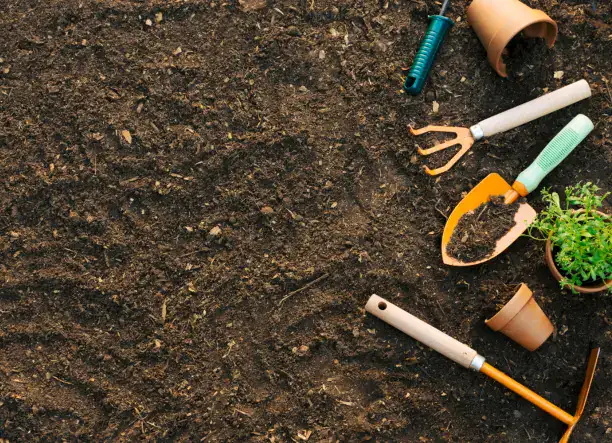 SZÓZA PLUSZ KFT – KERTÉSZETI SZOLGÁLTATÁSOK 🌿