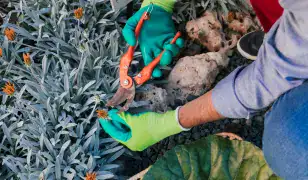 AVERO SERVICES-Megbízható karbantartás és kertgondozás egy kézben!