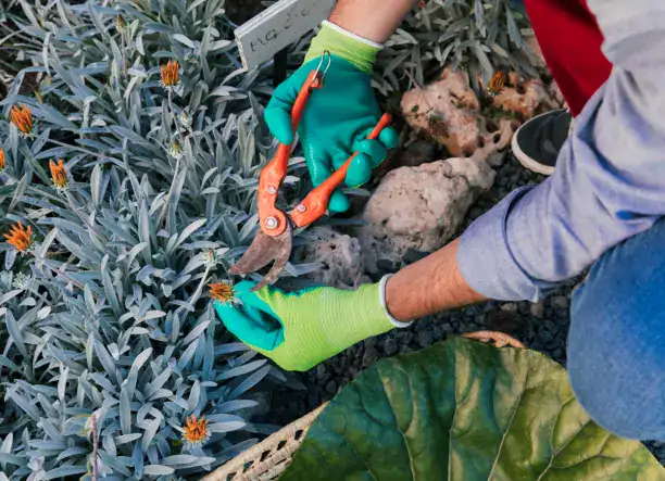 AVERO SERVICES-Megbízható karbantartás és kertgondozás egy kézben!