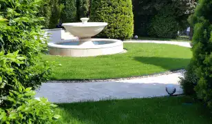 Faápolás | Fakivágás | Alpintechnika | Kertgondozás 🌳