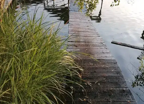 Tassi horgászparadicsomban ház kiadó, horgászstéggel