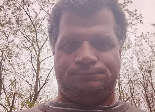 Kerti munkák Kecskeméten – fakivágás, darabolás, fűkaszálás