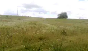 Őrbottyánban telek eladó!