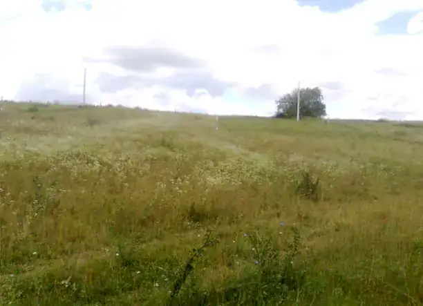 Őrbottyánban telek eladó!