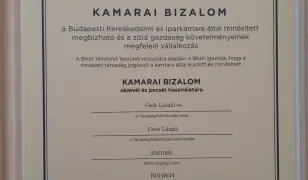 Mosógépszerelés Budapesten
