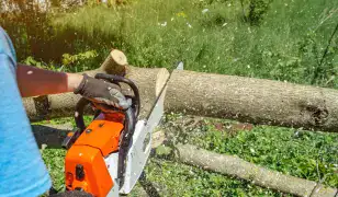 Kertmunka, favágás, fűnyírás – korrekt áron