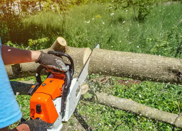 Kertmunka, favágás, fűnyírás – korrekt áron