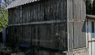 Terménytároló (kas)