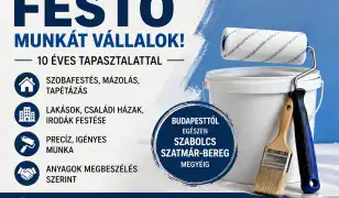 Precíz festő munkát vállal! 🎨