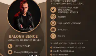 Kutyaviselkedés terápiás -rehabilitációs tréner