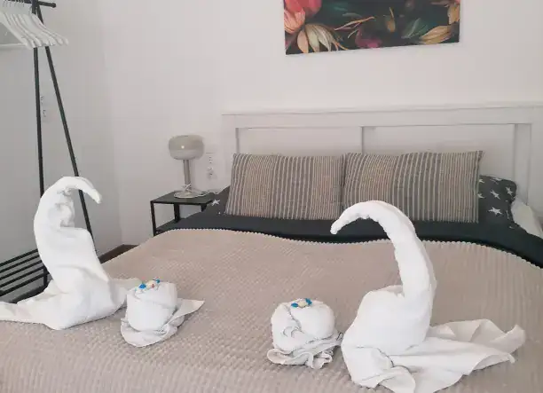 Apartman- és lakástakarítás, mosoda és kárpittisztítás egy helyen